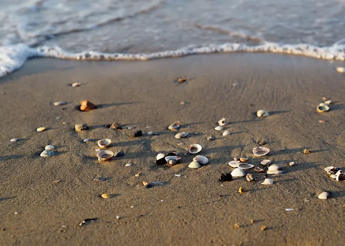 Cozy Flat Near Beach-beahost Bibione